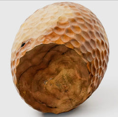 15-Inch Honeycomb Teak Root Vase