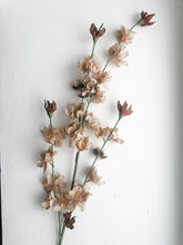 Floral - 37.5" Beige & Cream Cherry Blossom