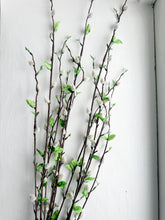 Floral - 36" Gray Willow Stems