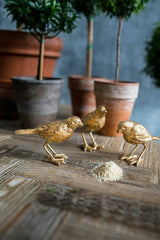 Decorative Cast Iron Gold Bird