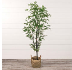 7’ Mini Bamboo Tree in Black Pot