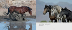 Table Top Book - Wild Horses of the West