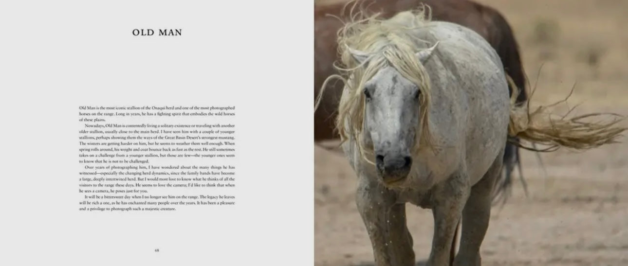 Table Top Book - Wild Horses of the West