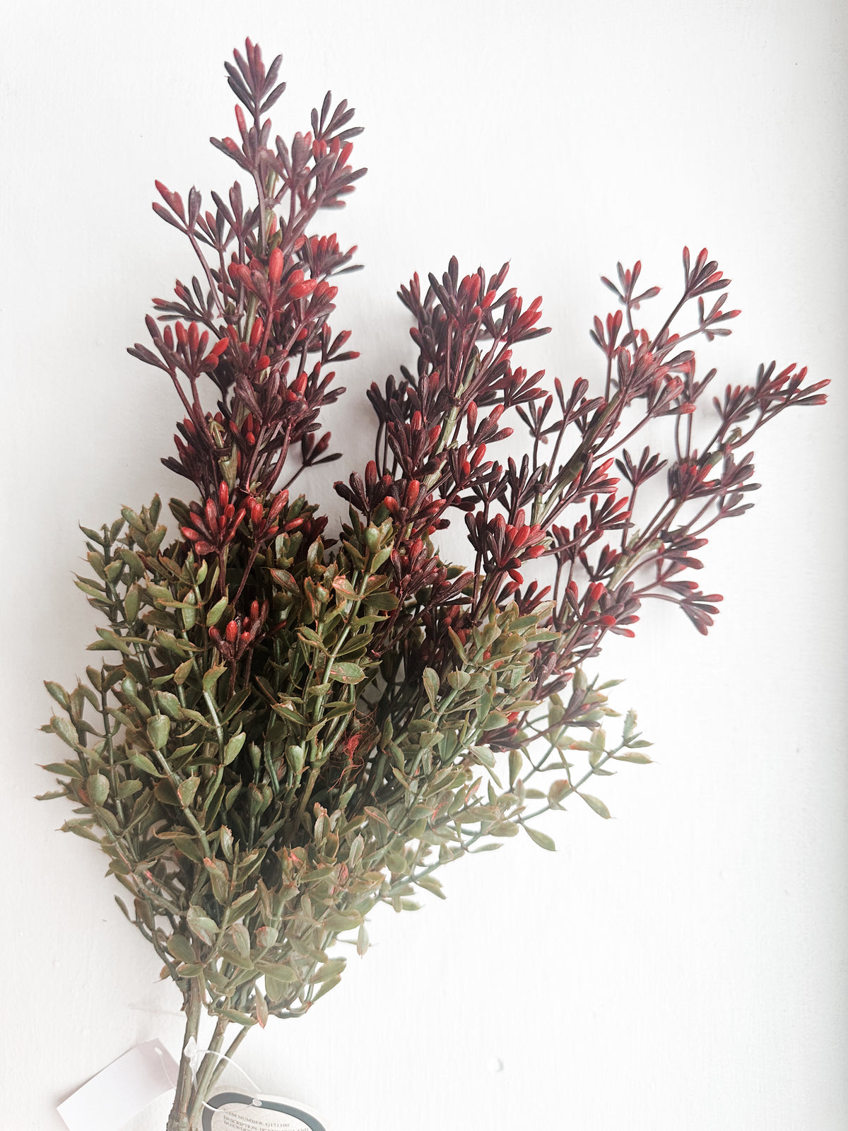 Floral - 18" New England Boxwood & Berry Bush