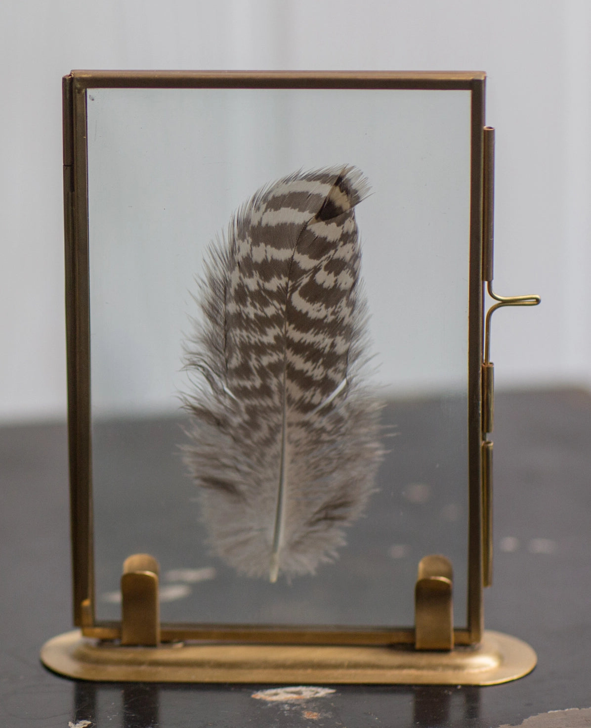 Brass Feather Photo Frame and Stand - 4"x6"