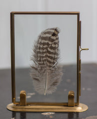 Brass Feather Photo Frame and Stand - 4"x6"