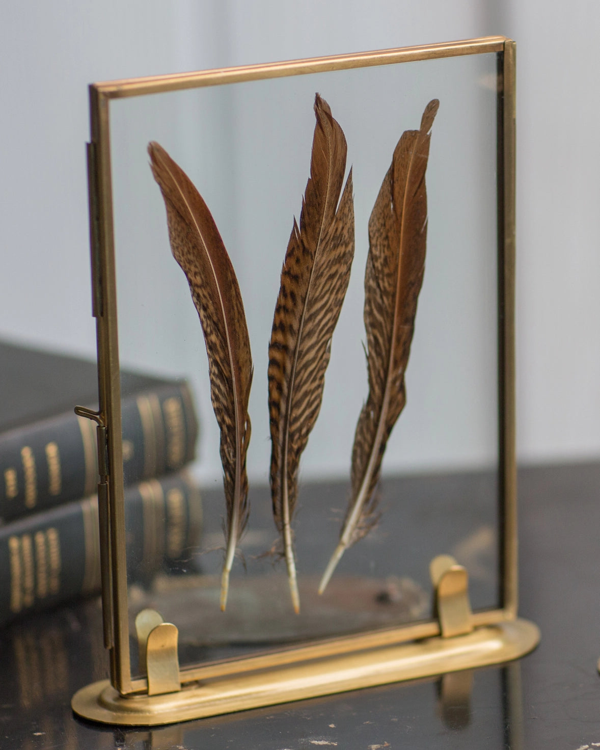 Brass Feather Photo Frame and Stand - 5"x7"