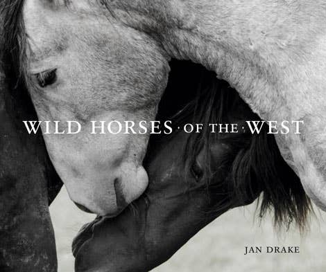 Table Top Book - Wild Horses of the West