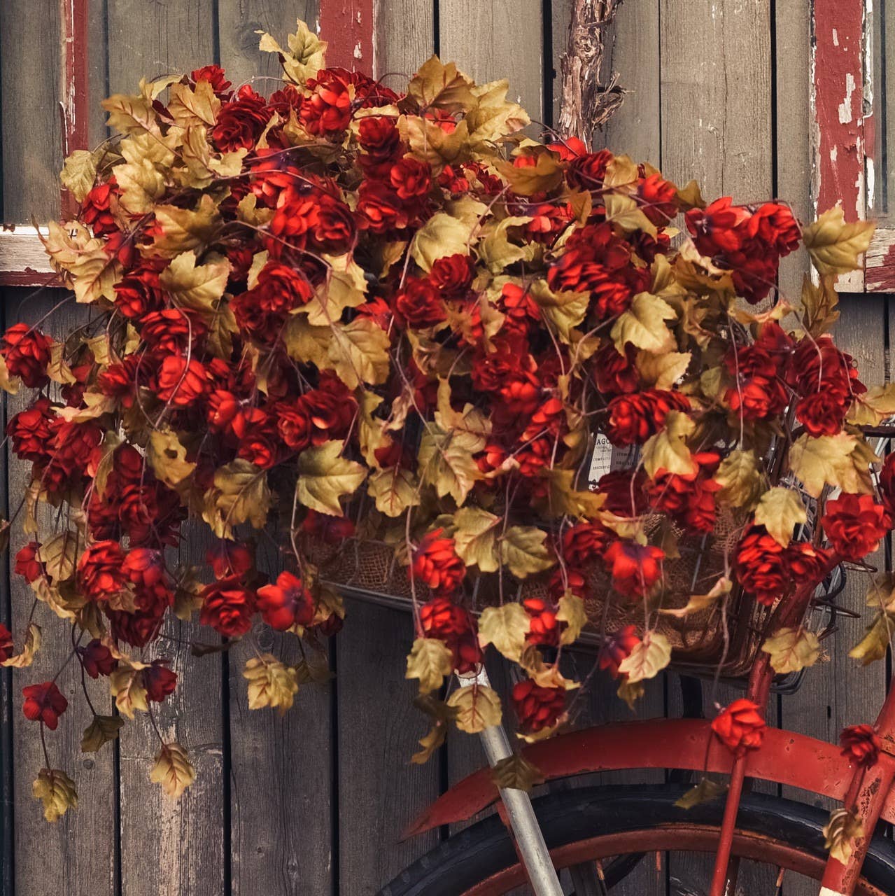 Floral - 39" Red Hop Stems