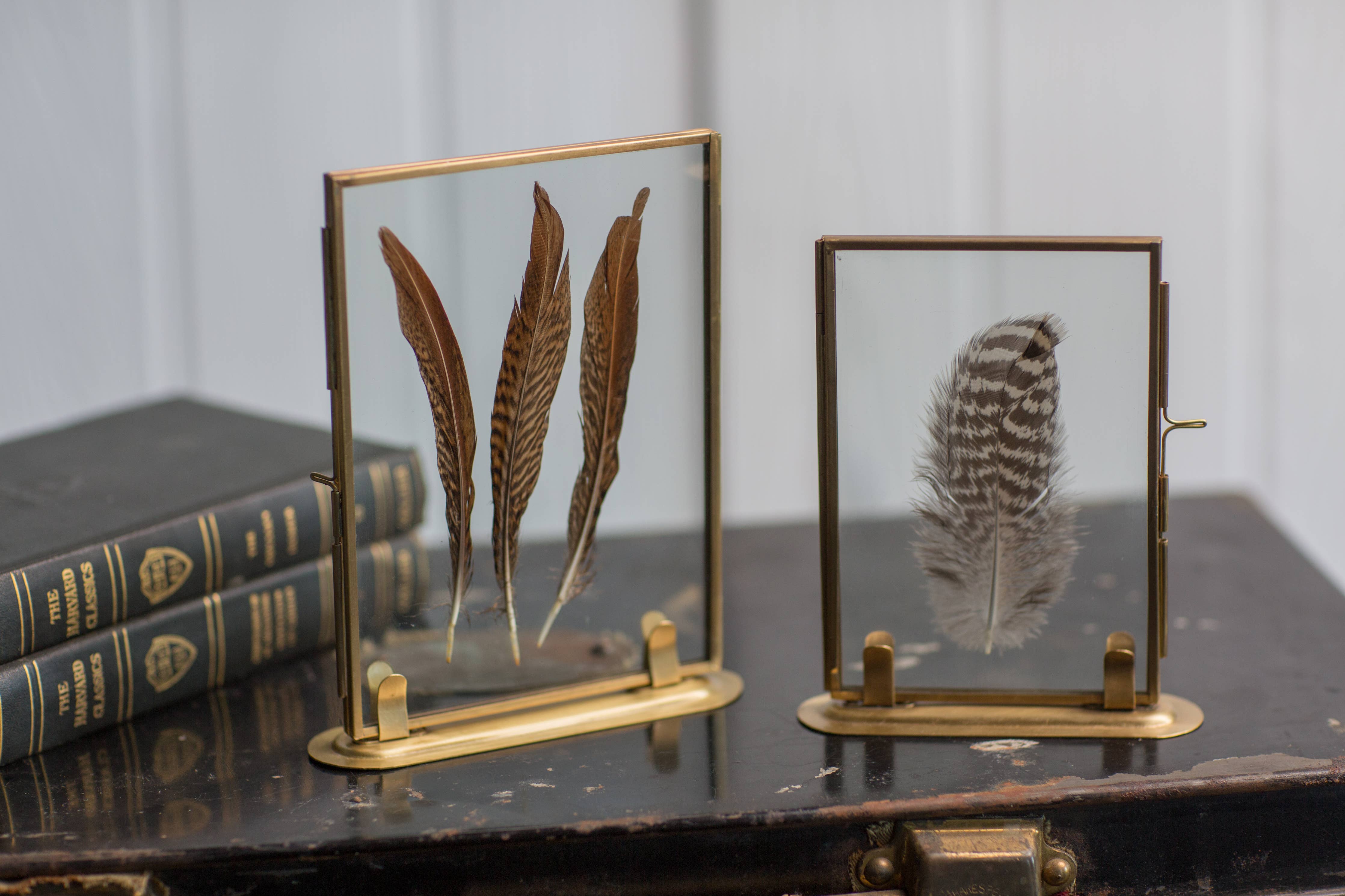 Brass Feather Photo Frame and Stand - 5"x7"