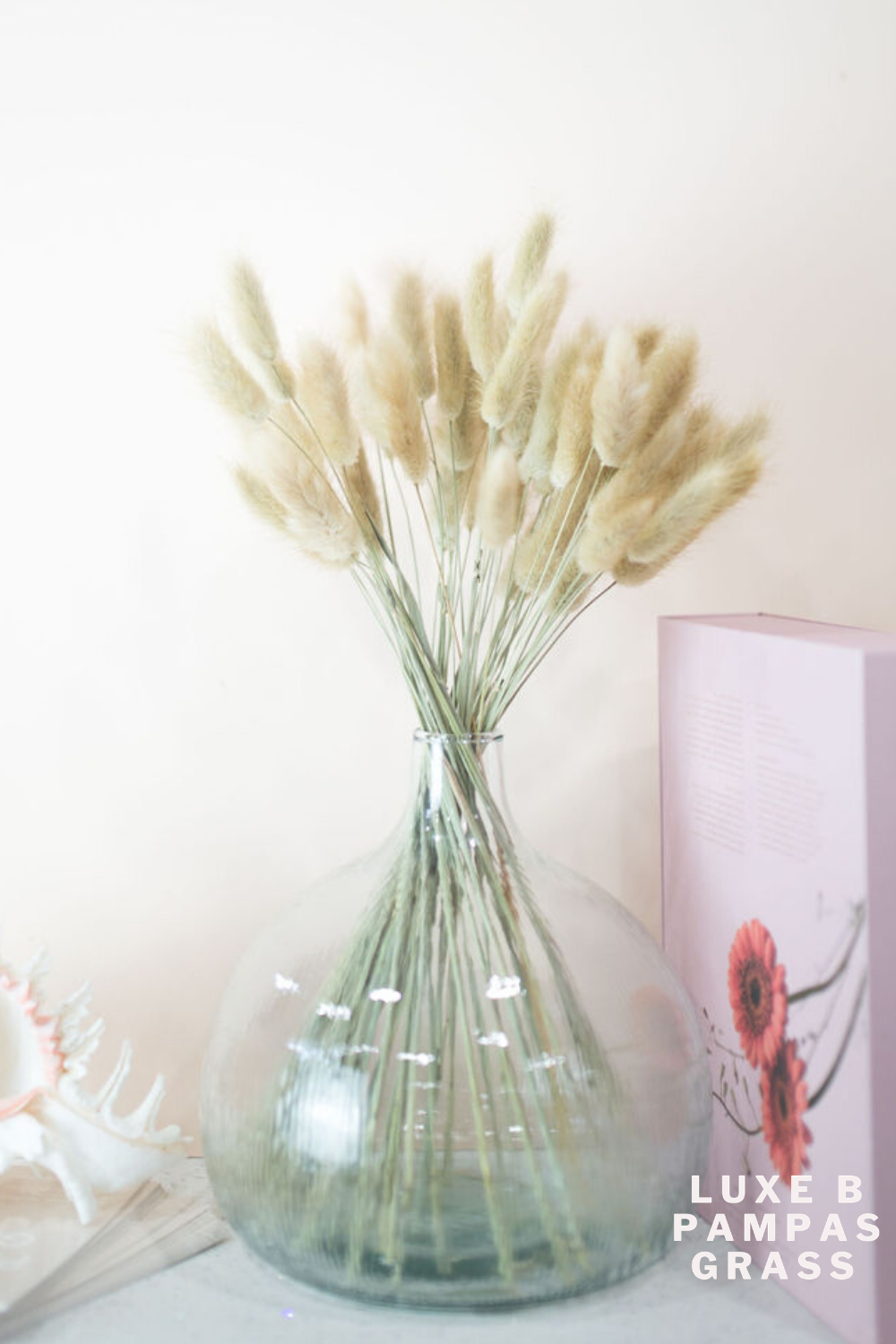 Floral - Natural Dried Flowers Bunny Tails