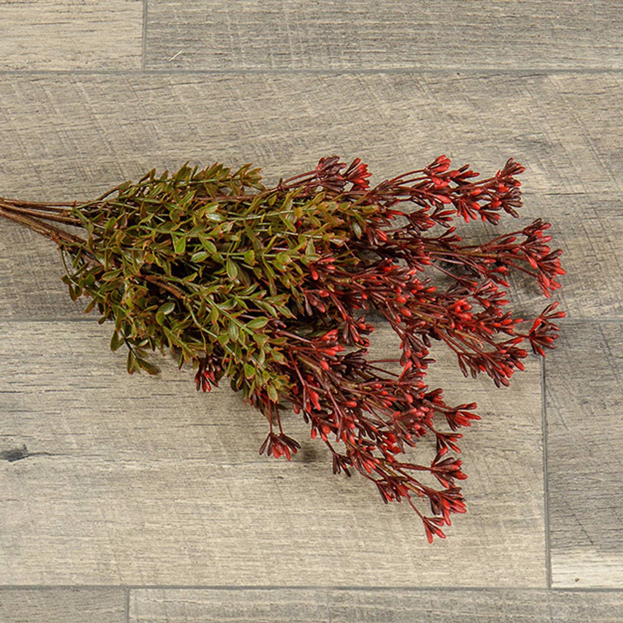 Floral - 18" New England Boxwood & Berry Bush